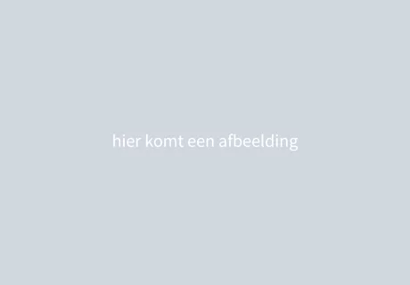 Boten